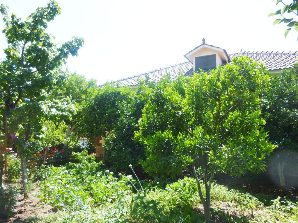 Vila Altini Борш Экстерьер фото