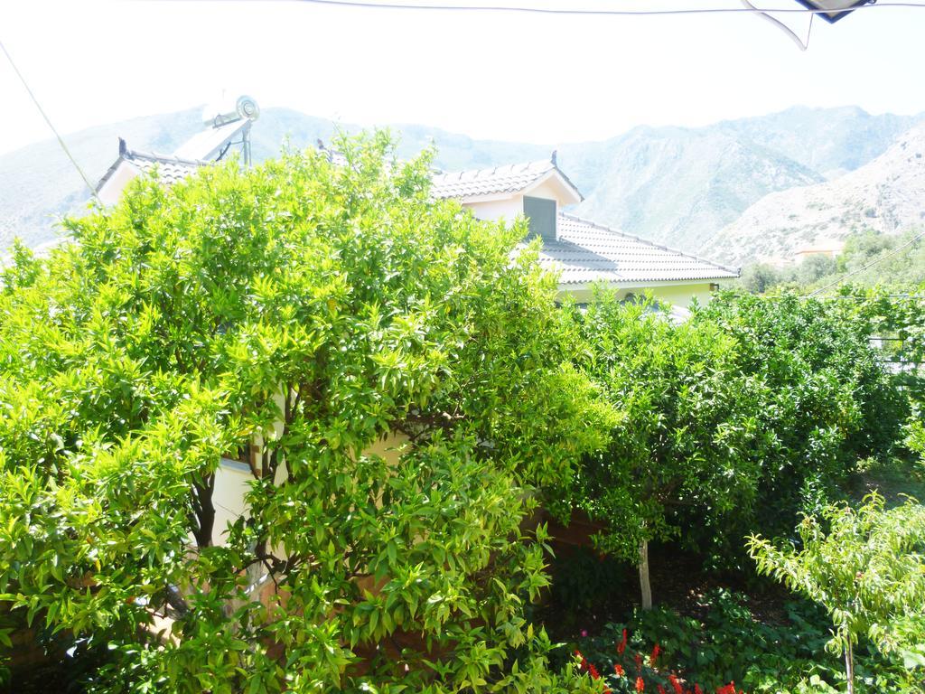 Vila Altini Борш Экстерьер фото